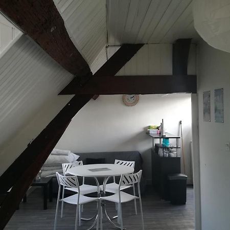 Appartement Spacieux Vue Sur Loire Proche Du Centre Blois Exterior photo
